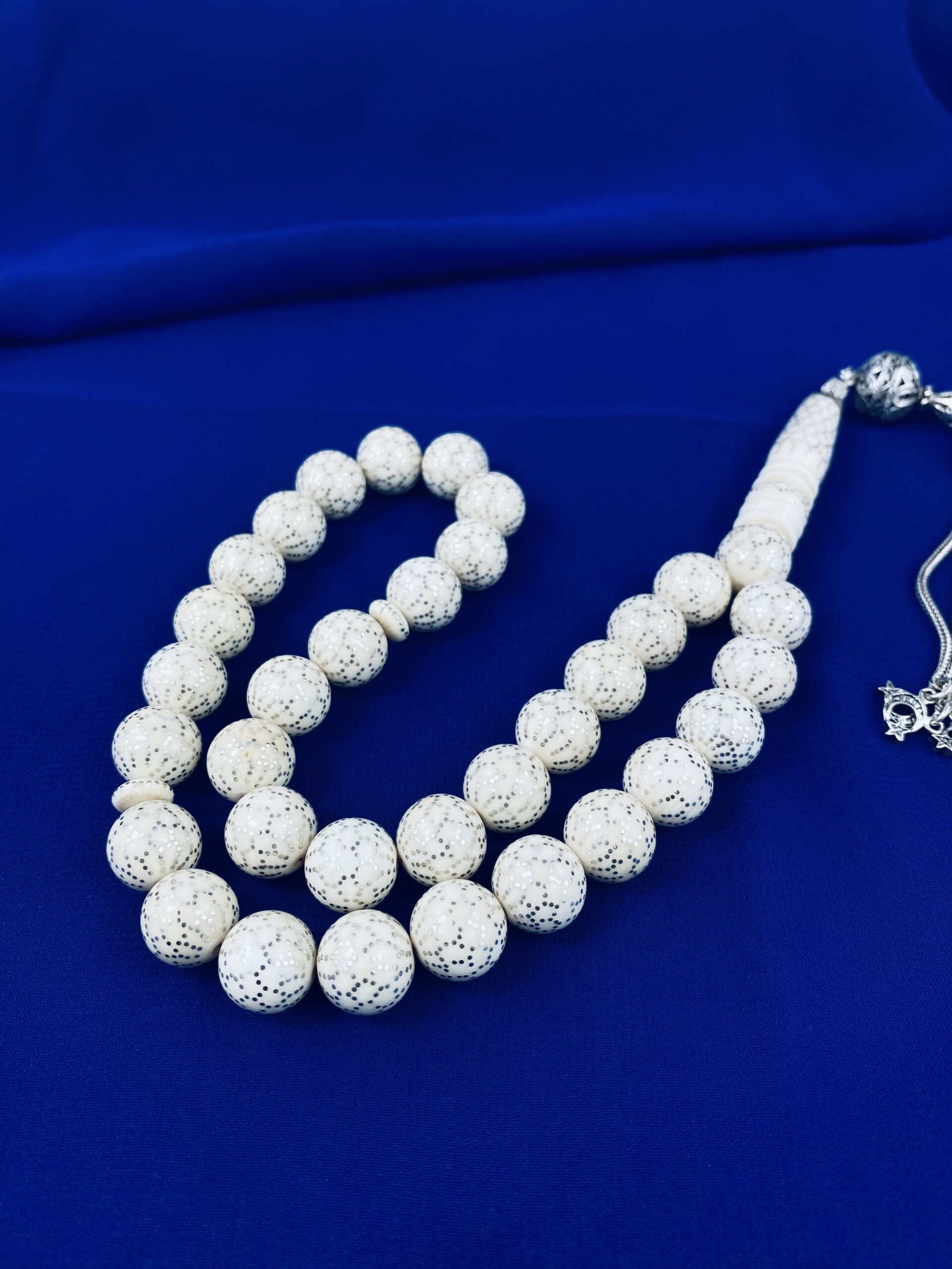 Fil Dişi - Görsel 3